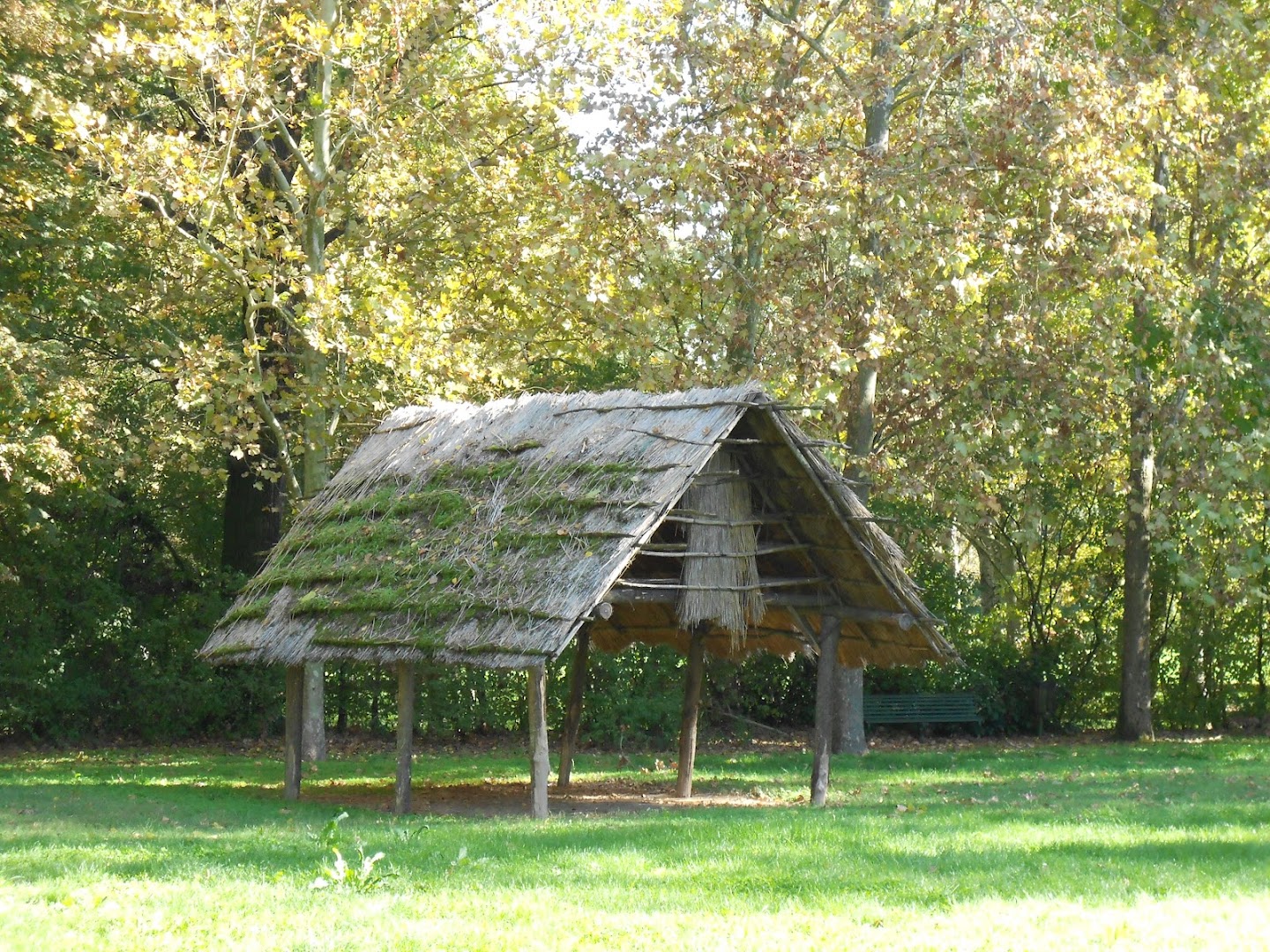 Oasi di Marmorta