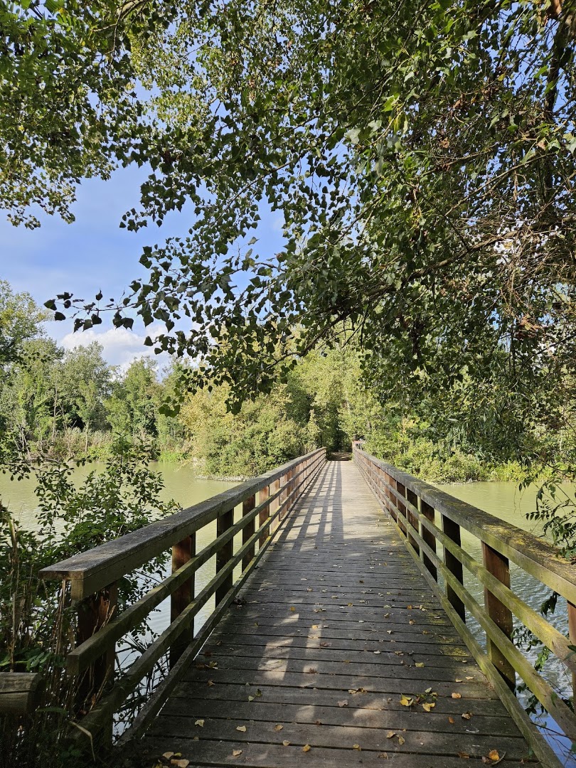 Oasi di Punte Alberete