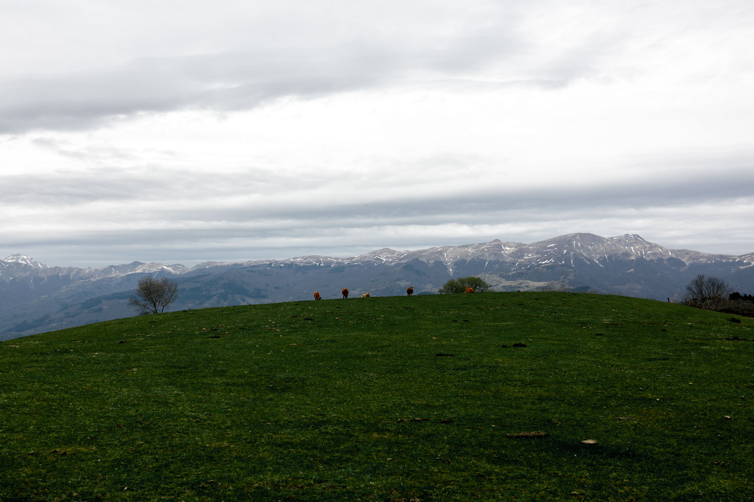 Oasi Dynamo Riserva Naturale
