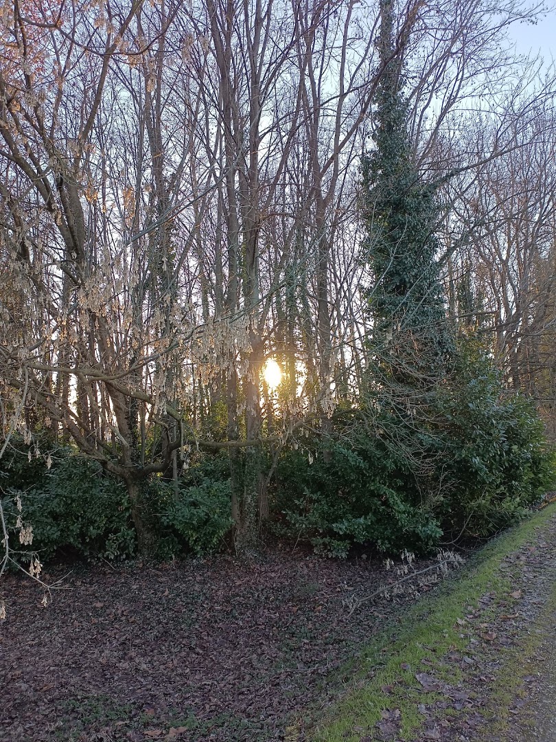 Oasi Vallona - Parco delle Risorgive