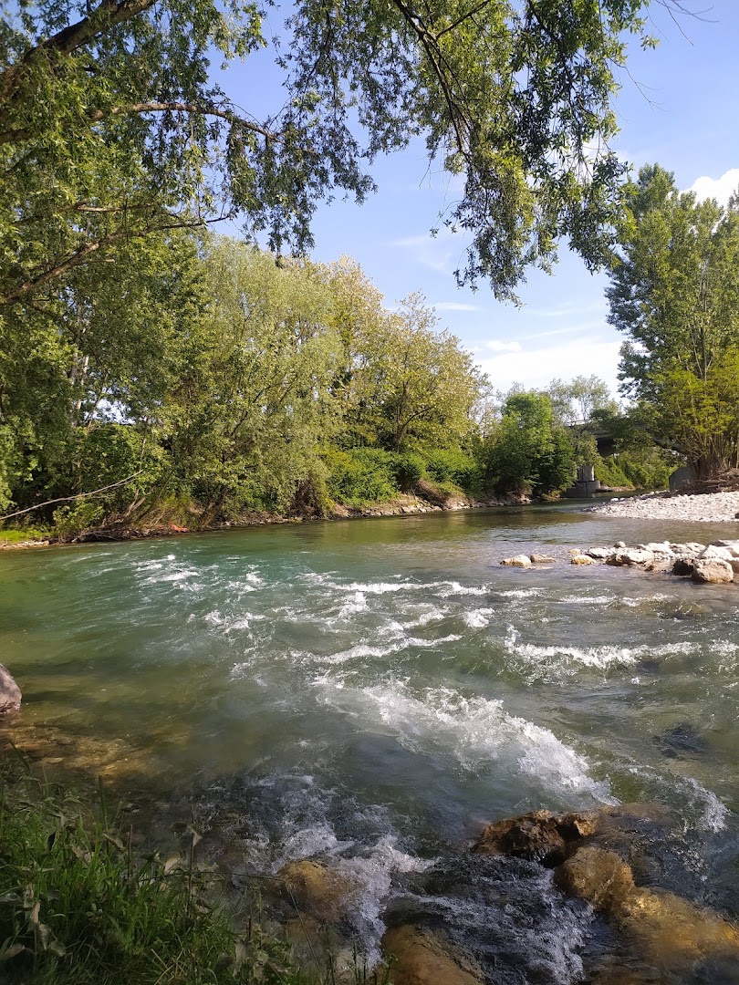 Oasi Verde