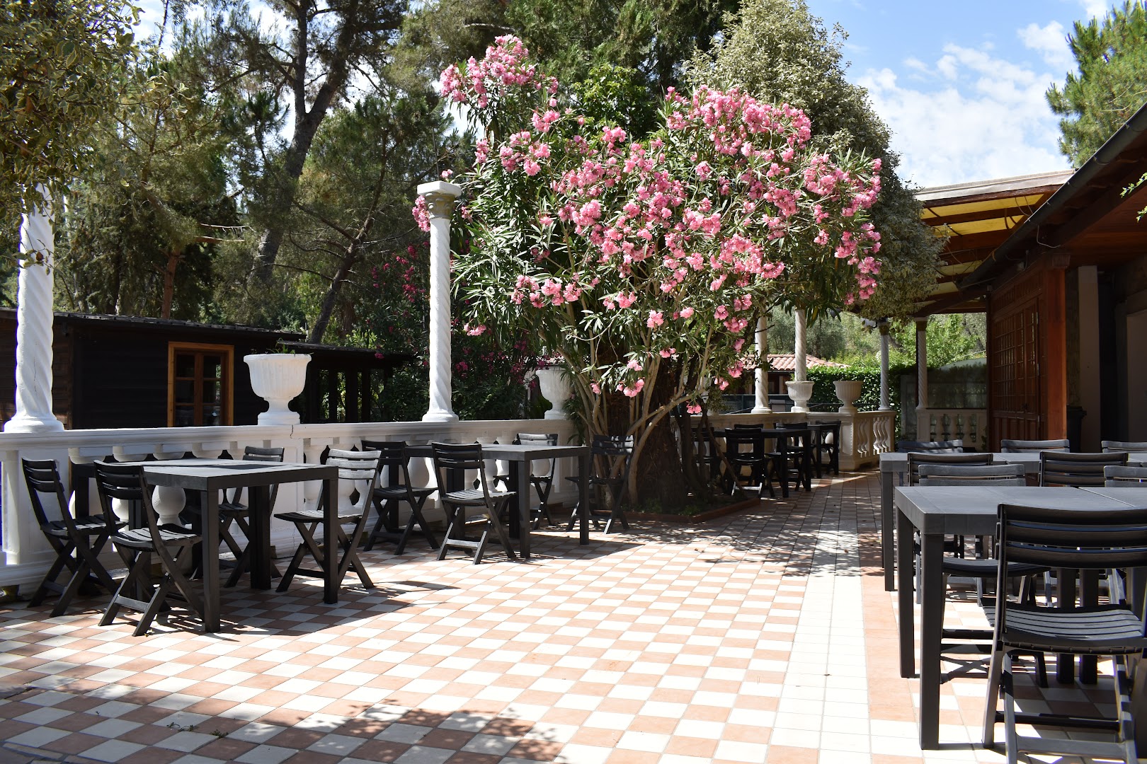 Oasi Village & Camping
