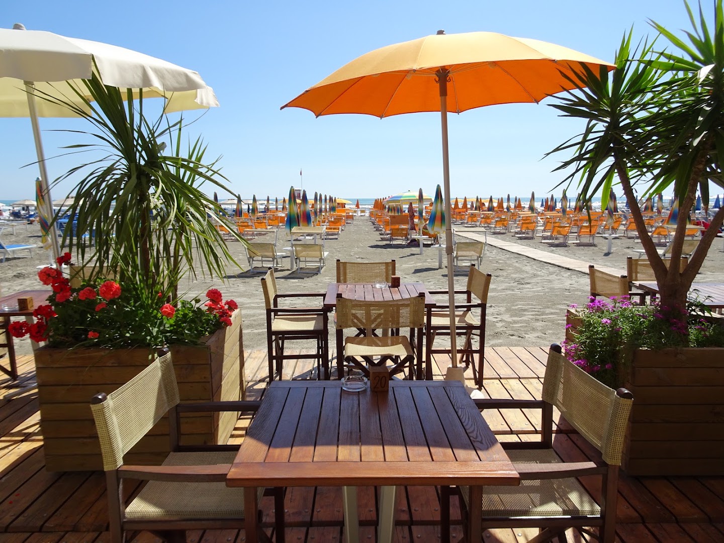 OASIS Beach/Pub