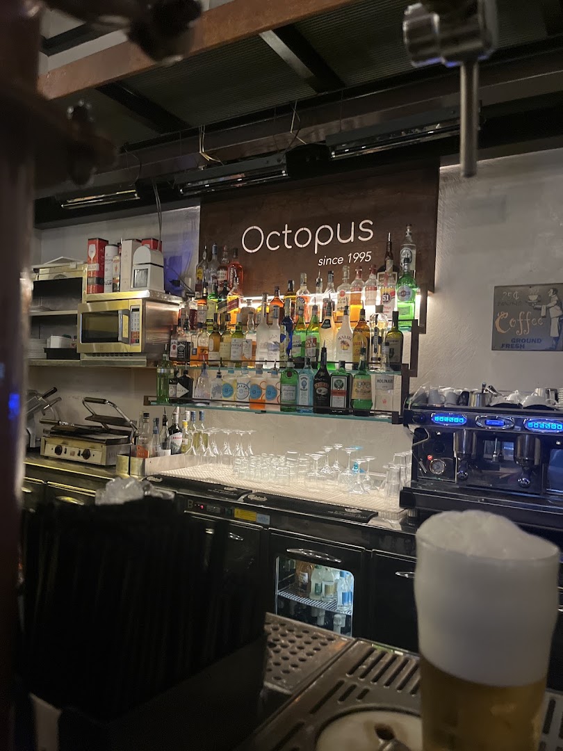 Octopus Srl