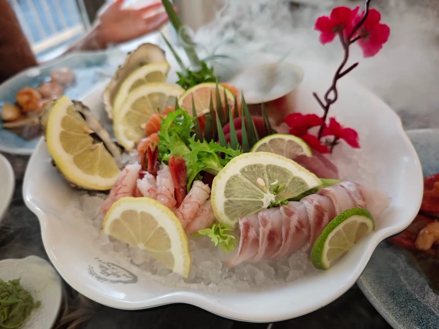Oh!Sushi_Belvedere Marittimo, Belvedere Marittimo