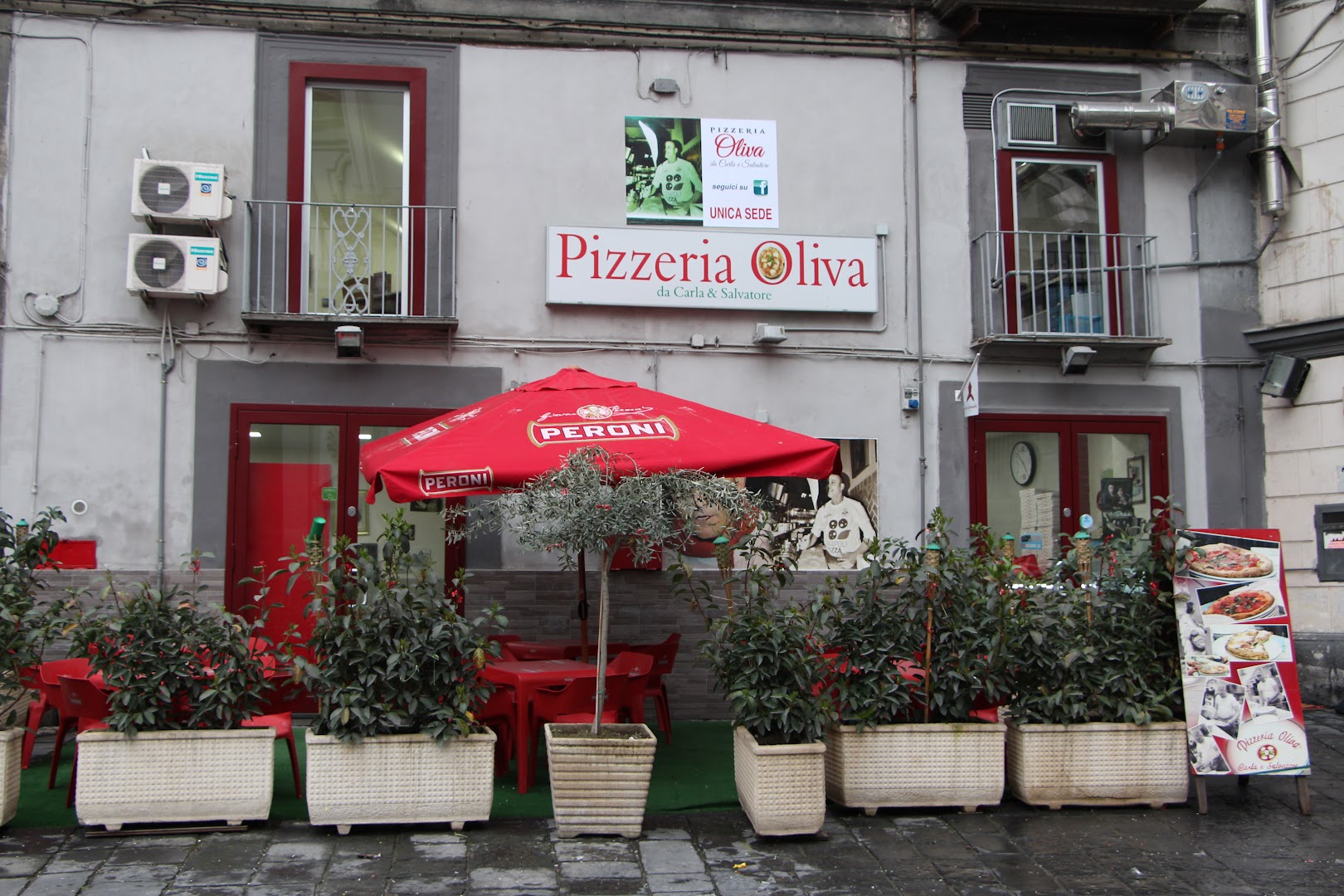 Oliva