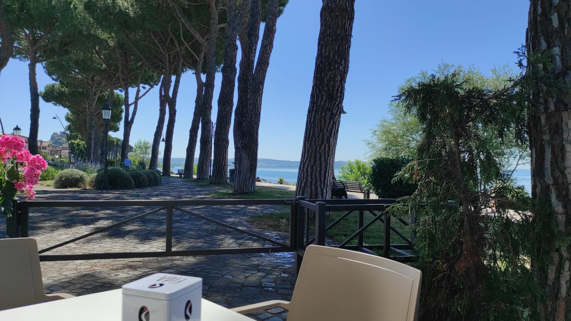 Oltre bar
