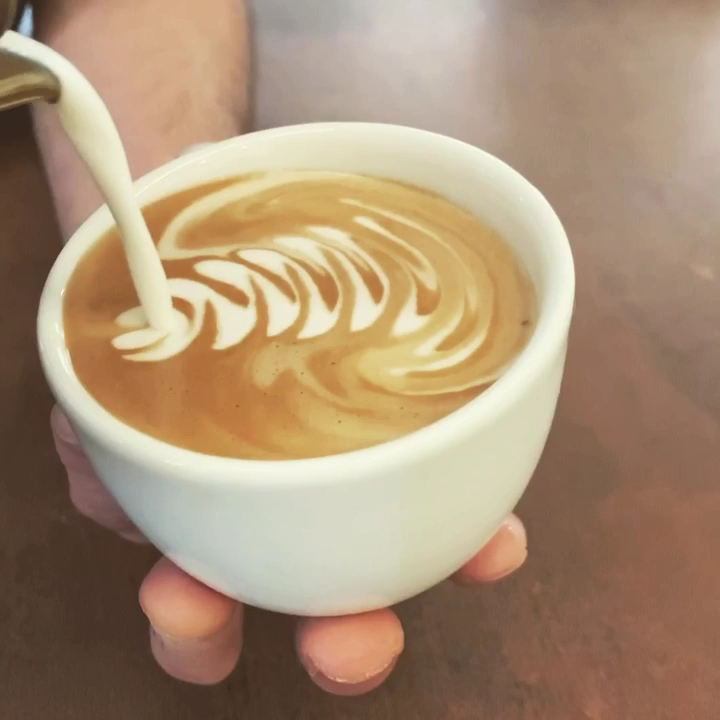 OM CAFFE' ALBA