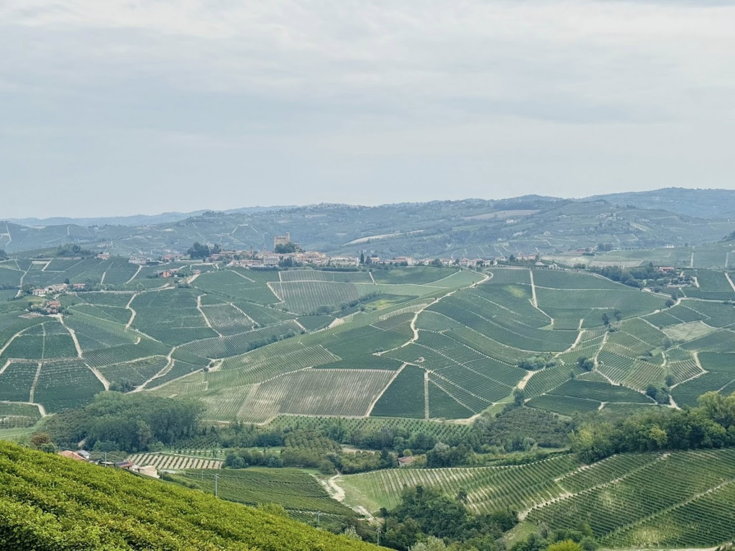 Open Piedmont tours Wine | Food | Fun