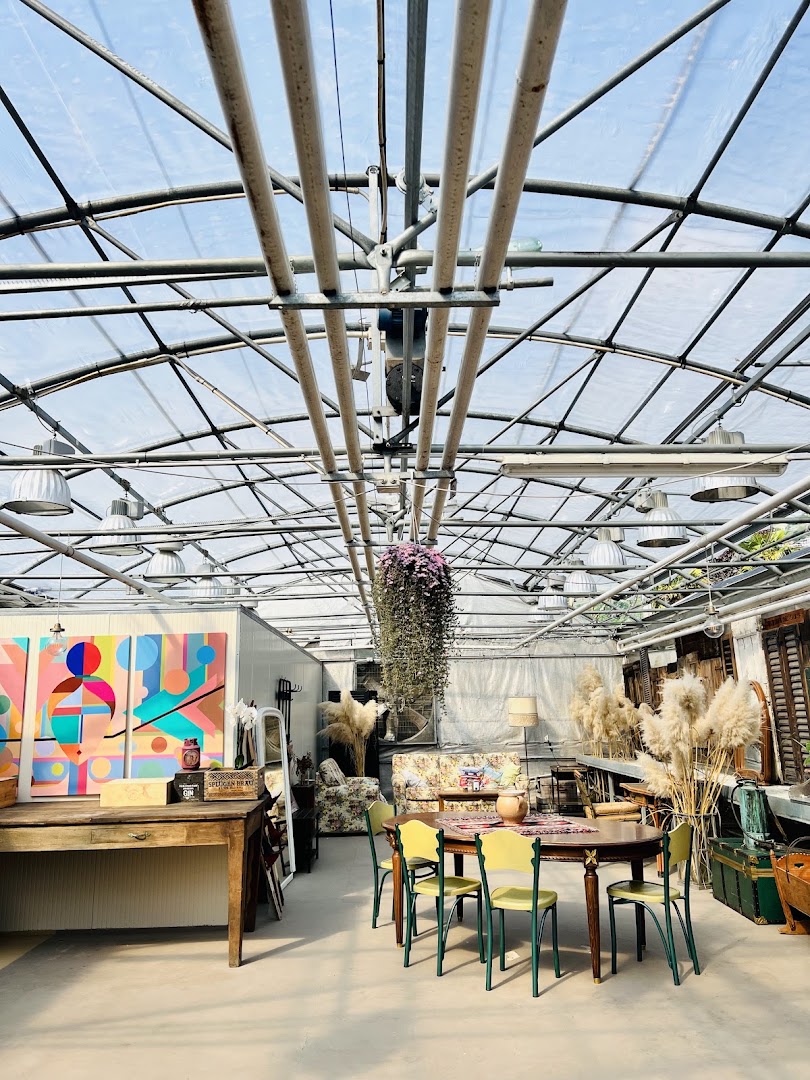 Orchidee del Lario