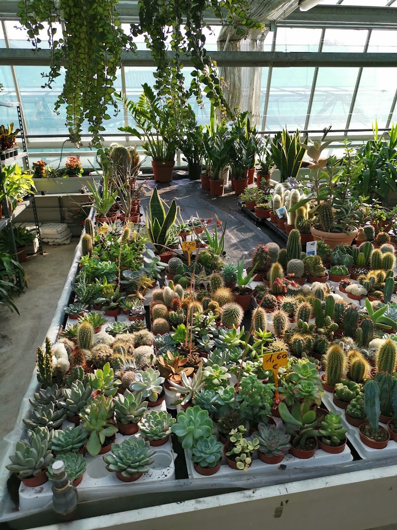 Orio Garden