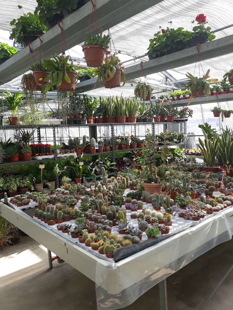 Orio Garden