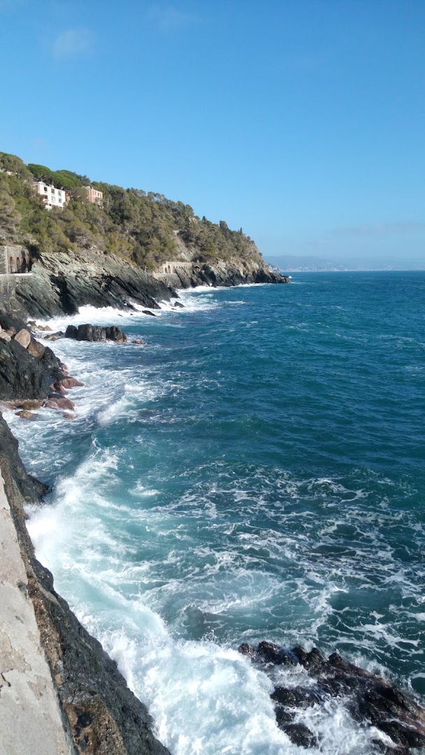 Orizzonte, Varazze