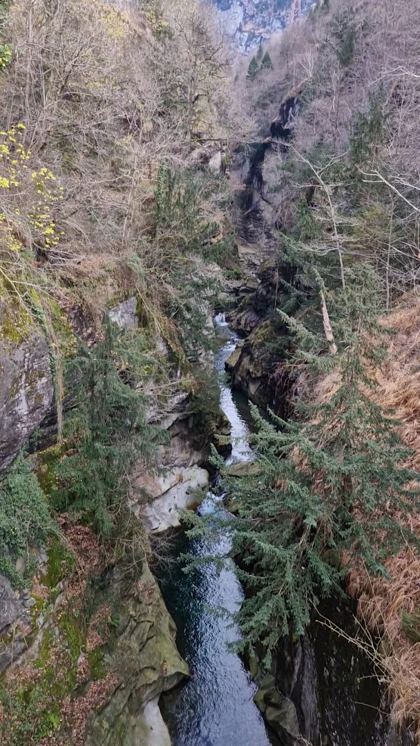 Orridi di Uriezzo