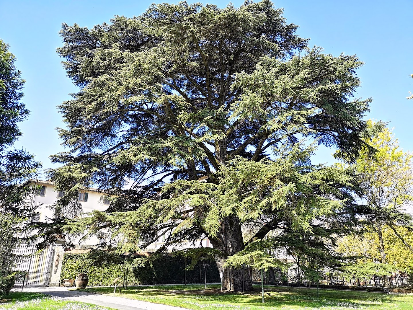 Orto Botanico di Lucca, Lucca