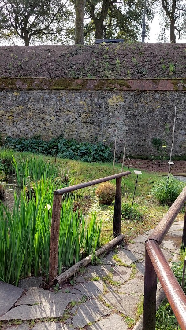 Orto Botanico di Lucca