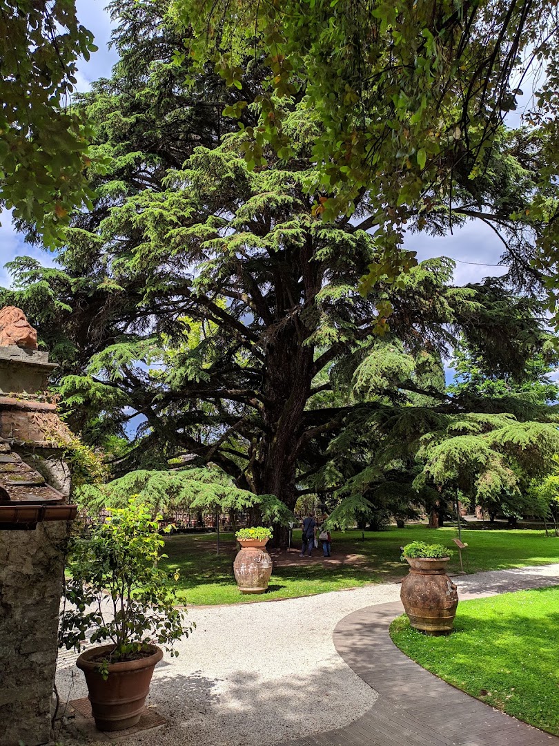 Orto Botanico di Lucca