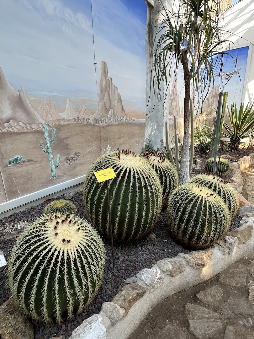 Orto Botanico di Lucca