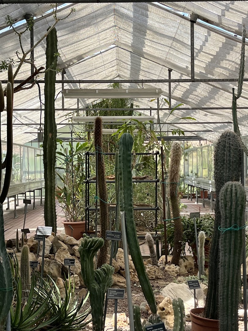 Orto Botanico ed Erbario, Bologna