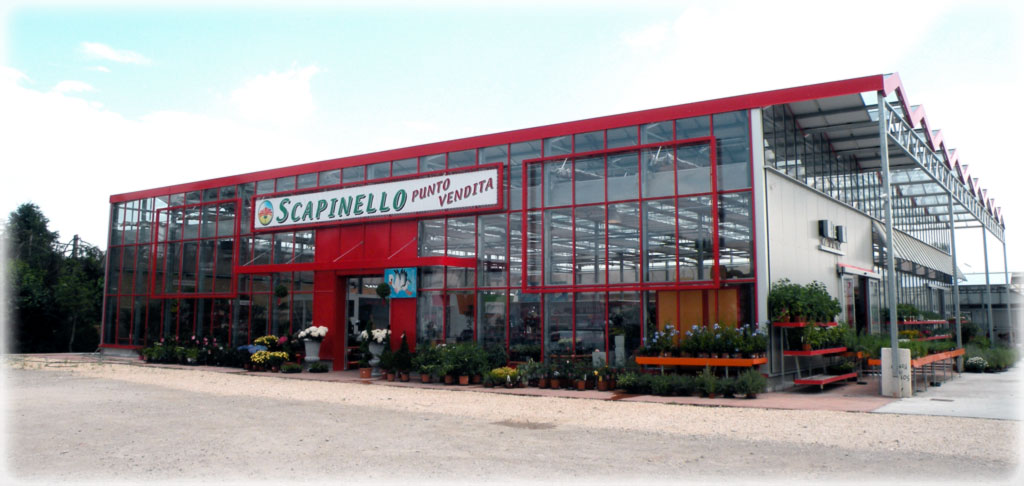 Ortofloricoltura Scapinello, Riese Pio X
