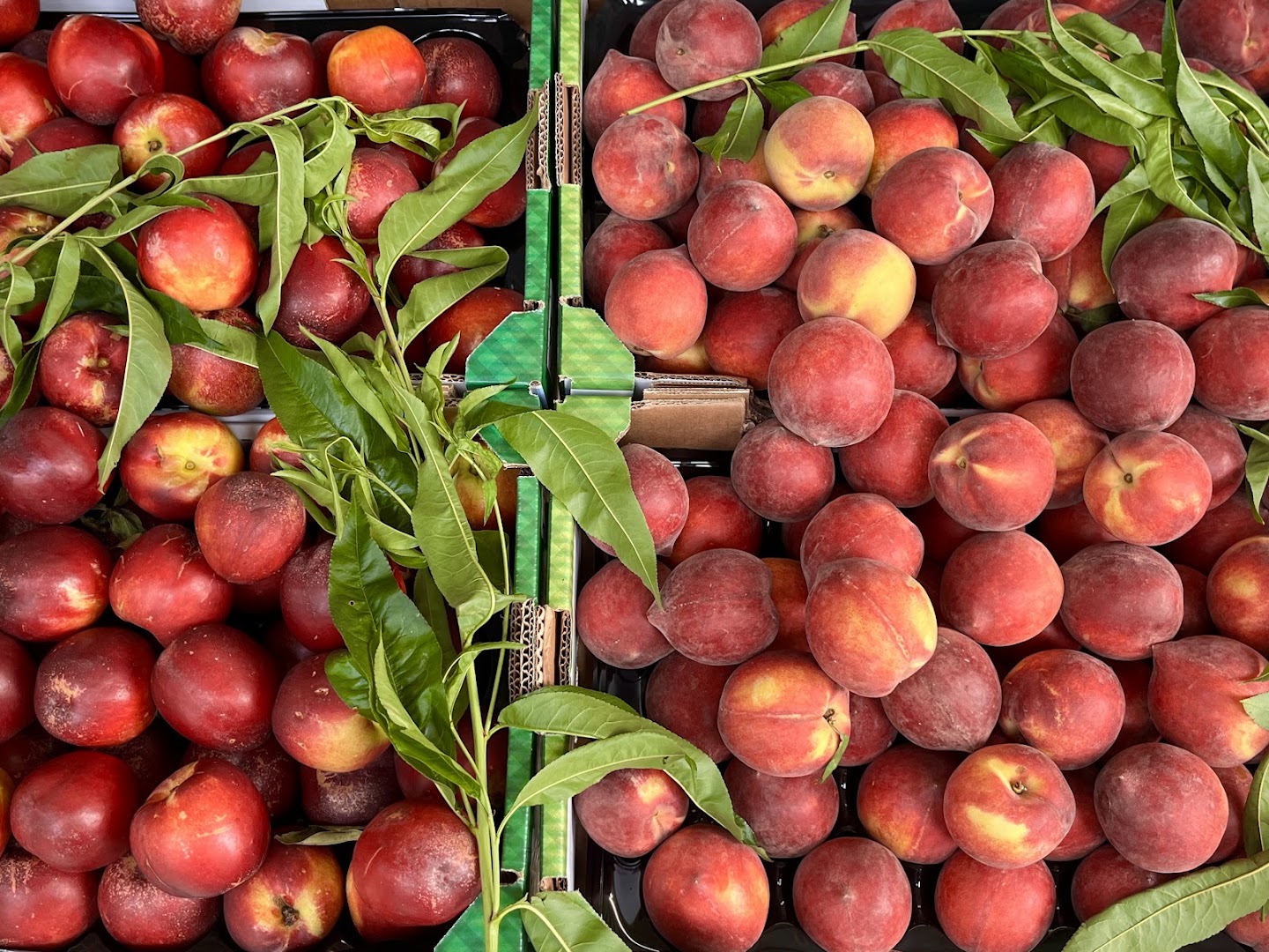 Ortofrutta Daniele