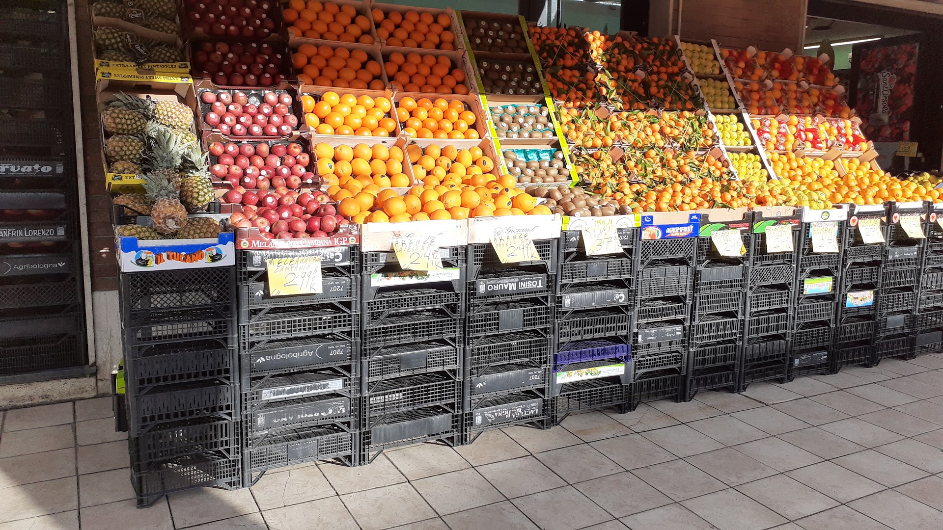 Ortofrutta di Mohamed Mohamed Mohy Elsayed Shahin, Prato