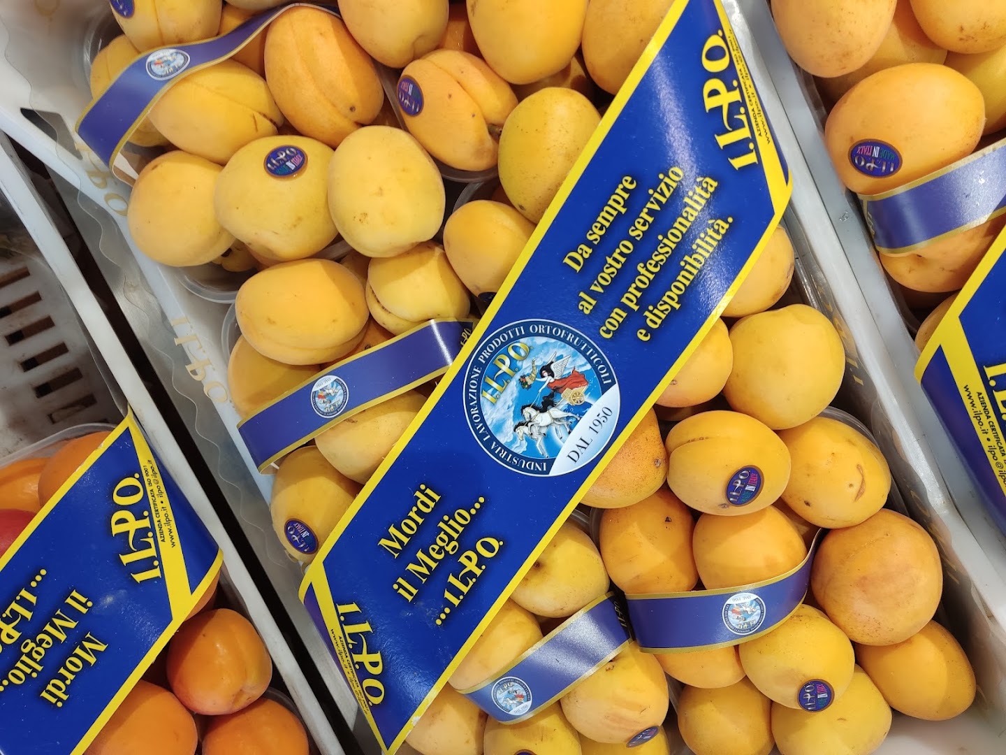 Ortofrutta Primizie Fiorillo
