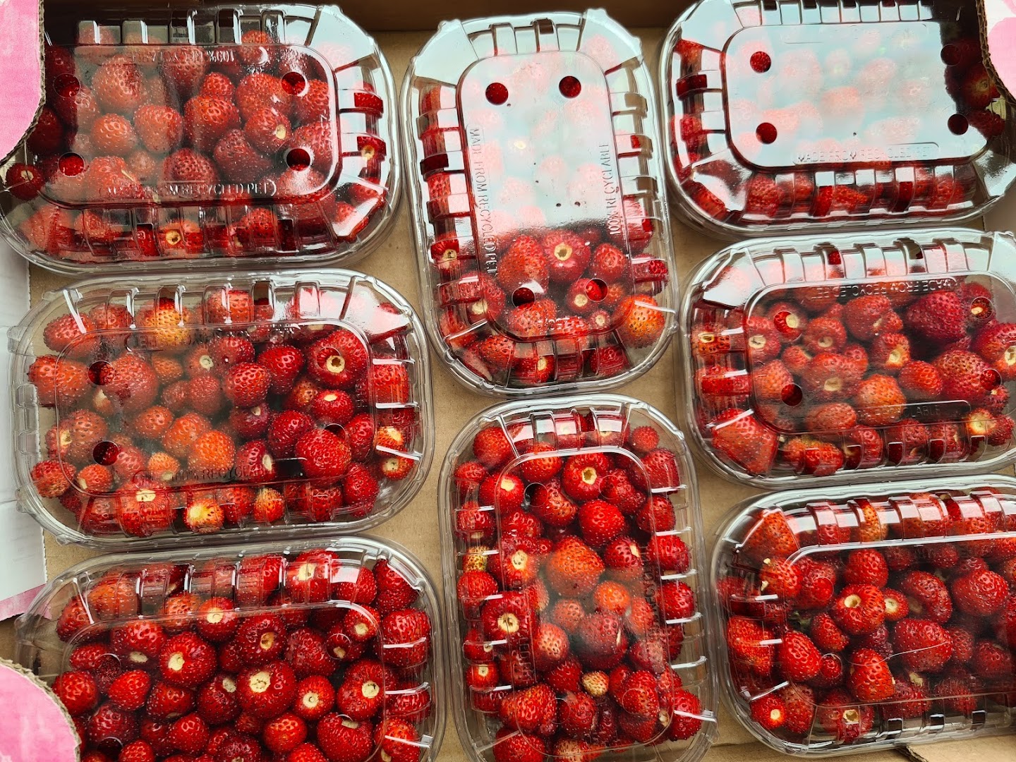 Ortofrutta Valentina Di Mileo Valentina