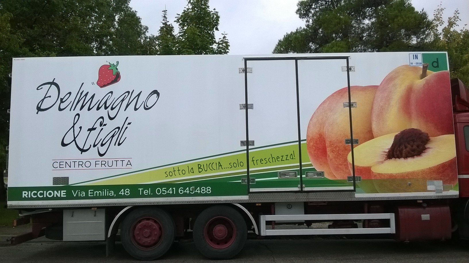 Ortoservice Srl