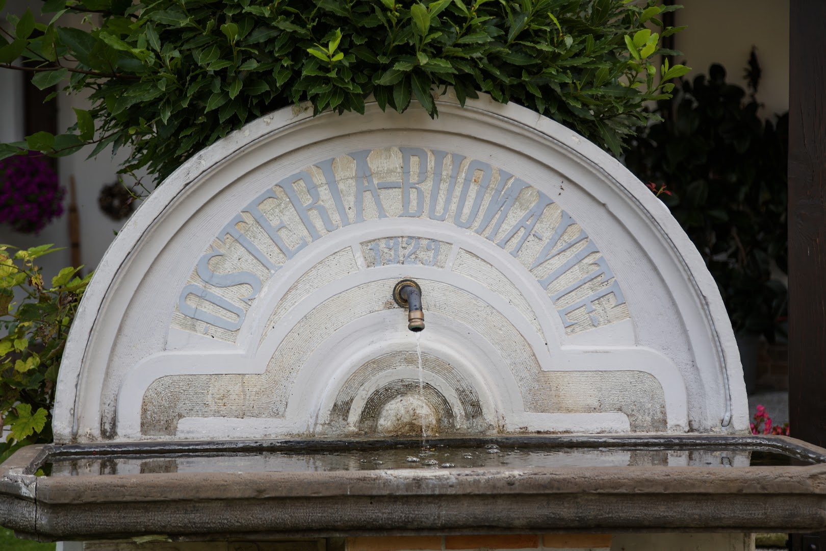 Osteria alla buona vite
