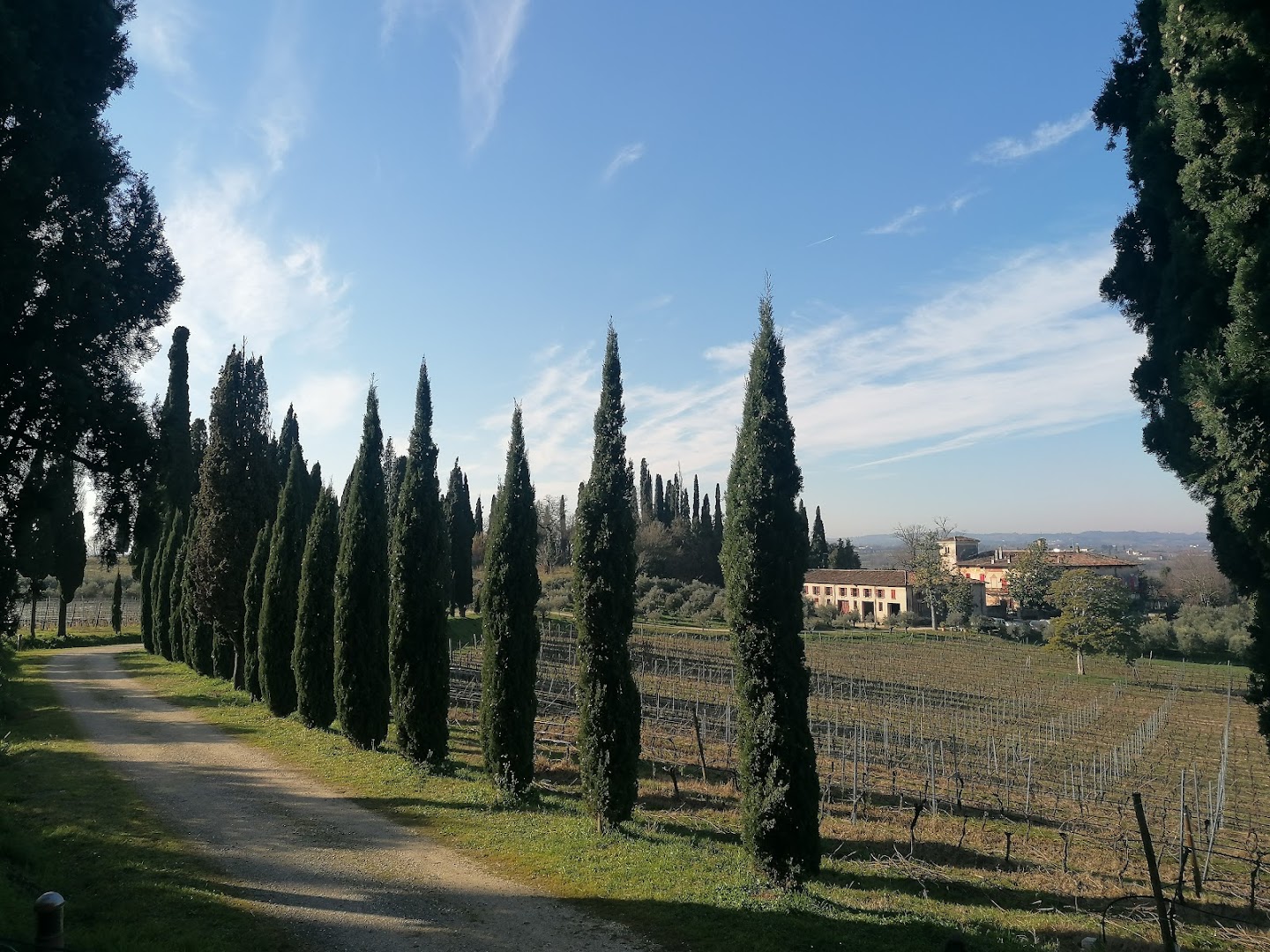 Osteria alla Torre