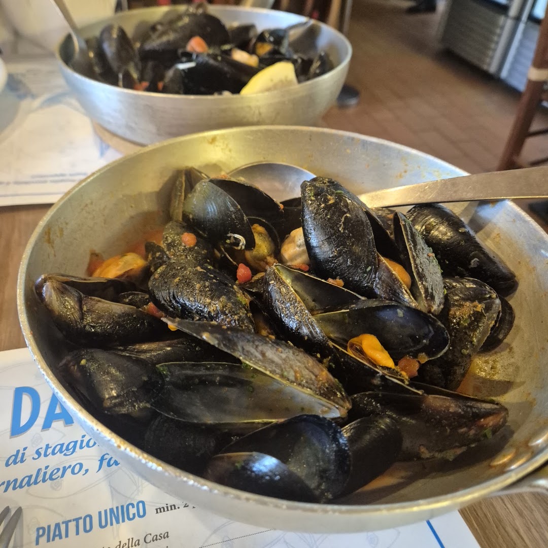 Osteria da Joni, Cattolica