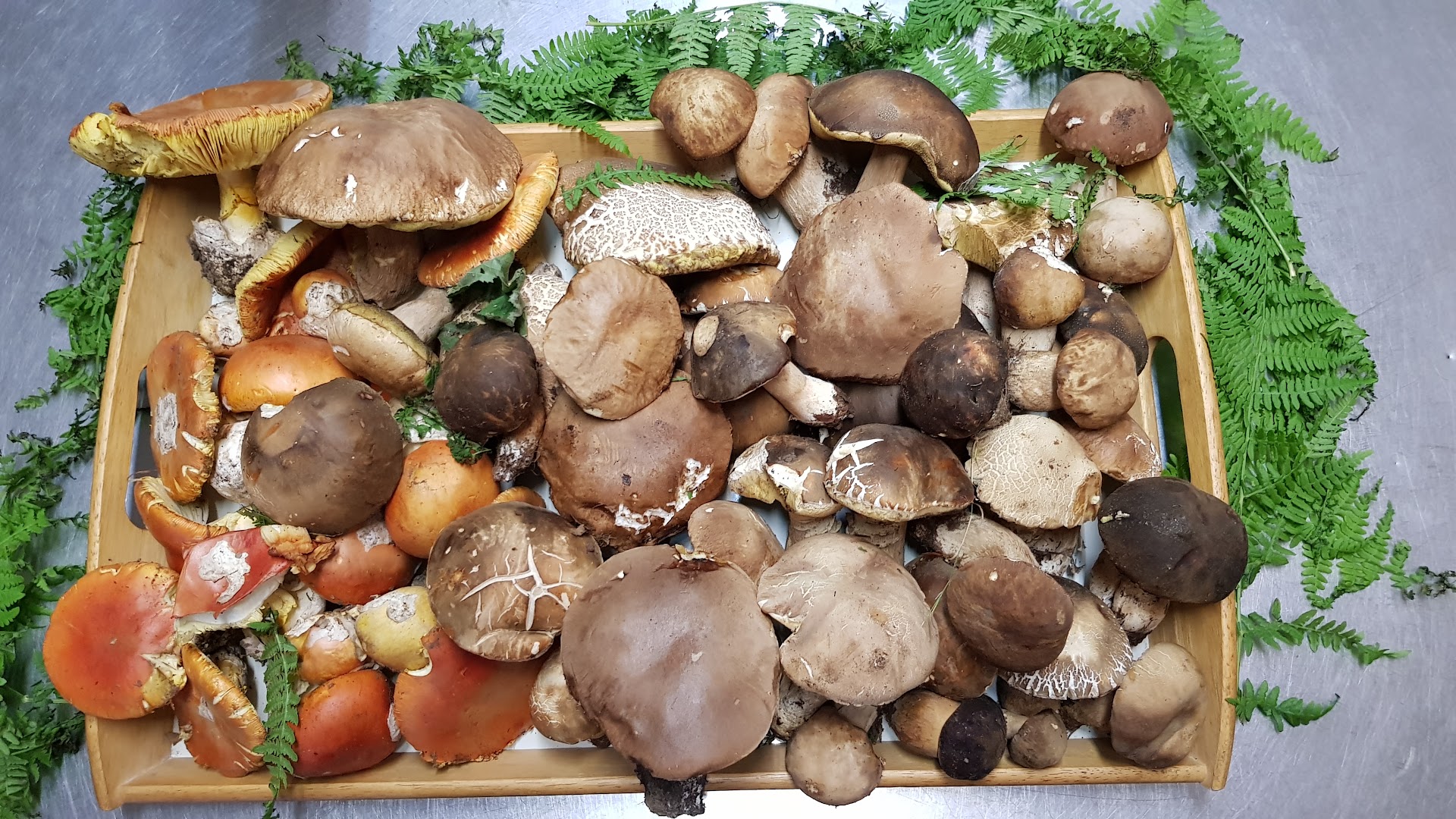 Osteria Il Castagno