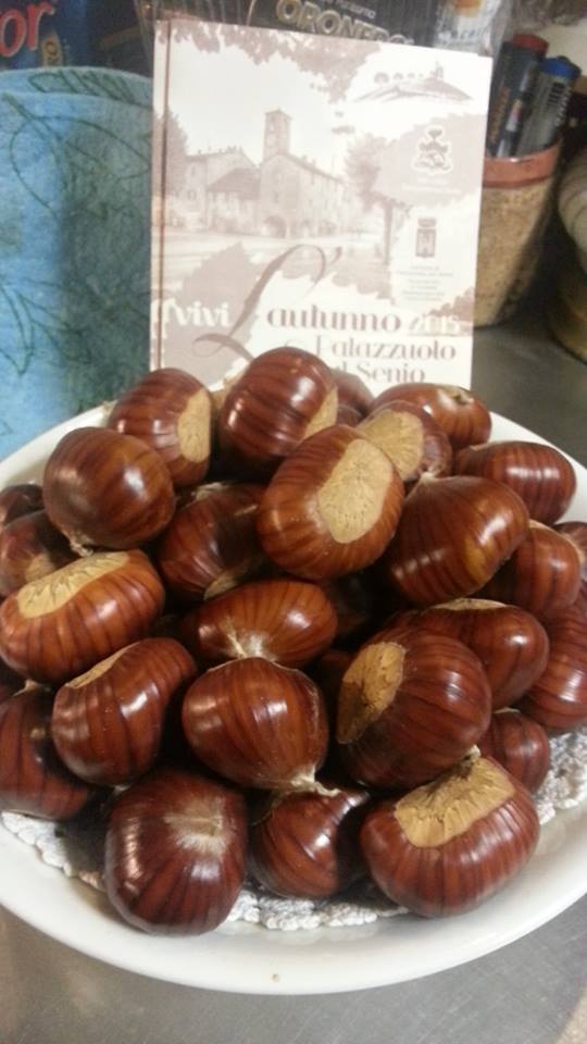 Osteria Il Castagno