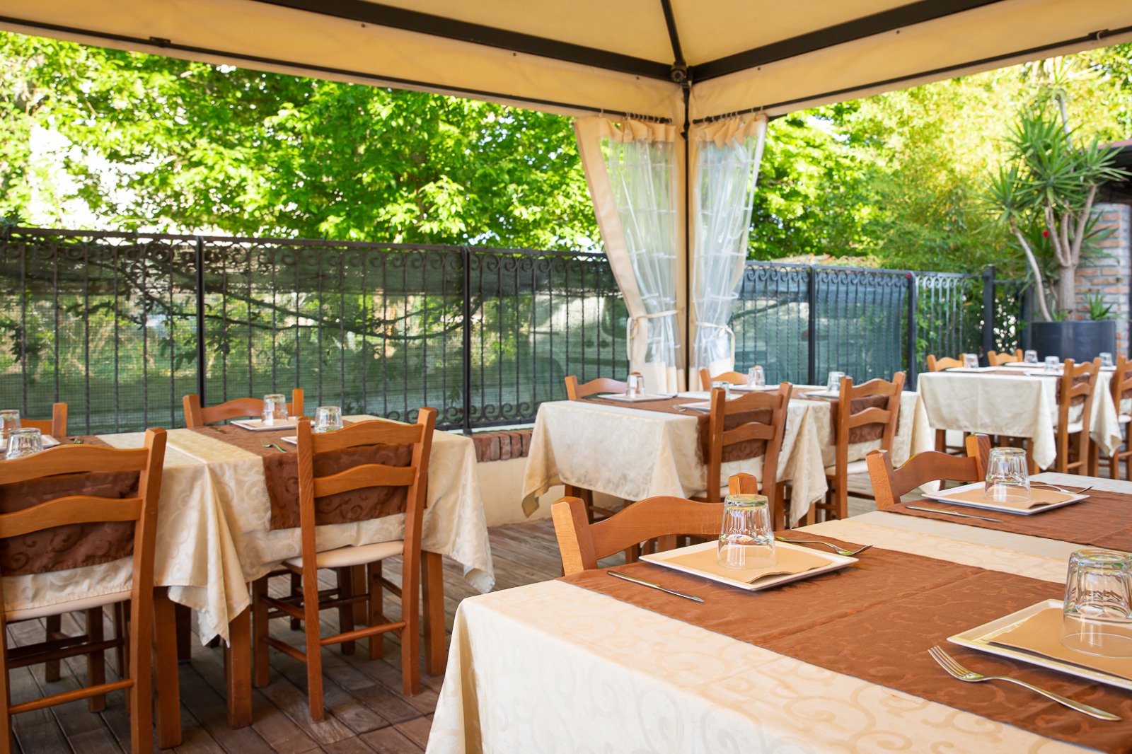 Osteria il Gallo