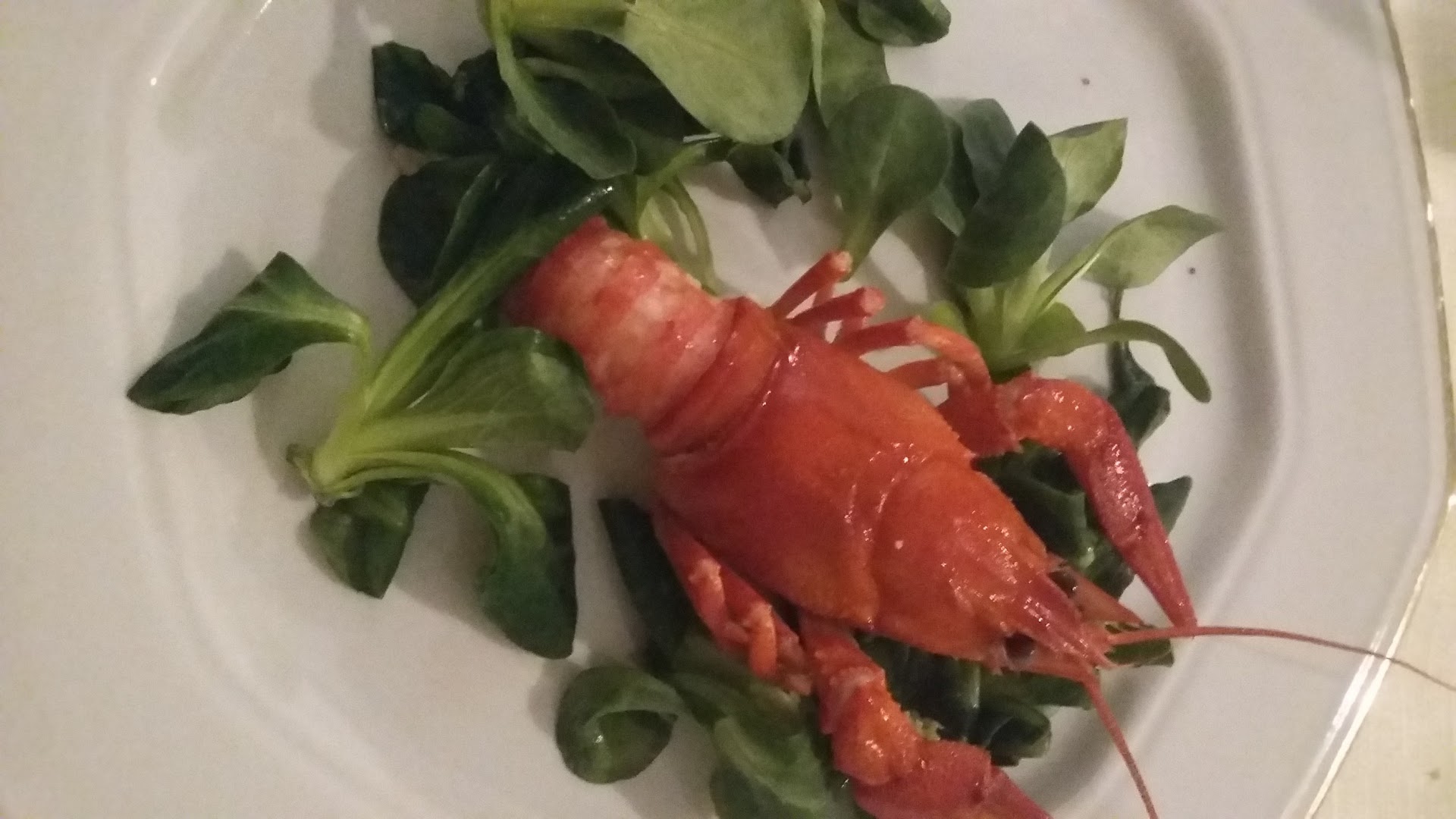 Osteria Rusticana