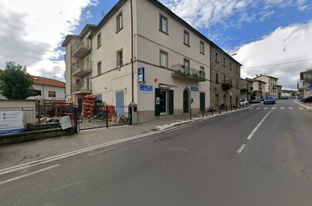 Pacini Group