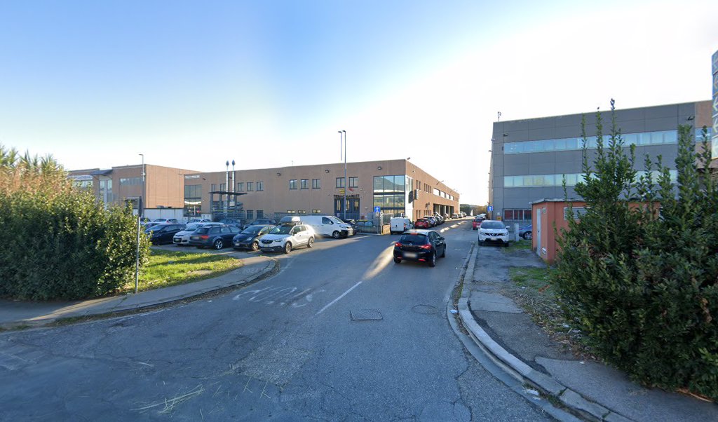 Palagini Sesto Fiorentino, Sesto Fiorentino