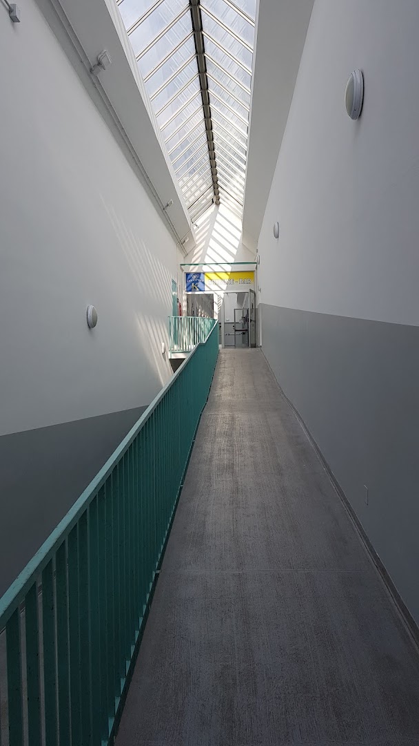 Palasport