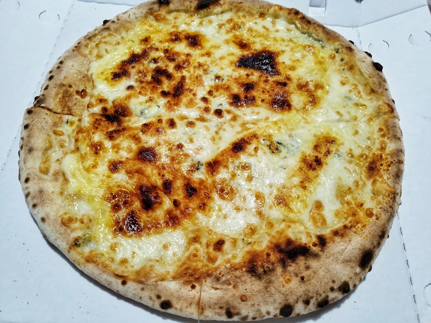Palato Salato 2.0 NOVOLI