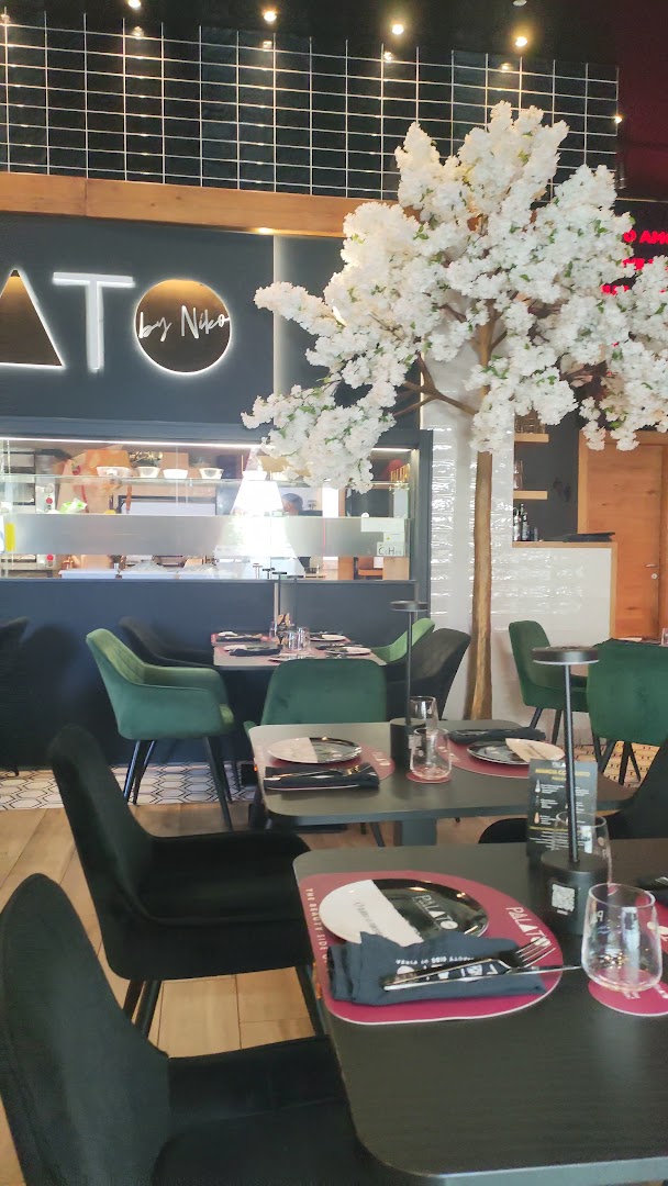 PALATO | The beauty side of Pizza by Niko