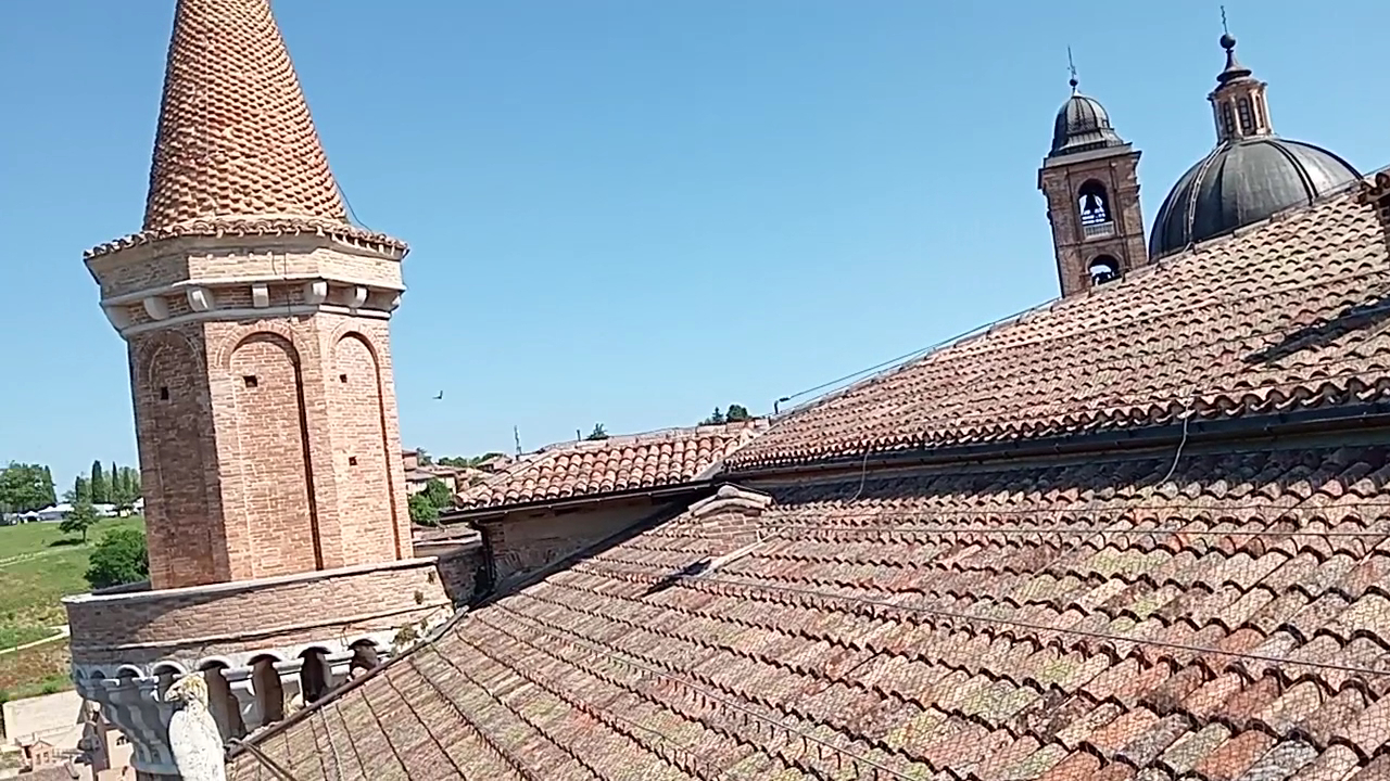 Palazzo Ducale di Urbino, Urbino