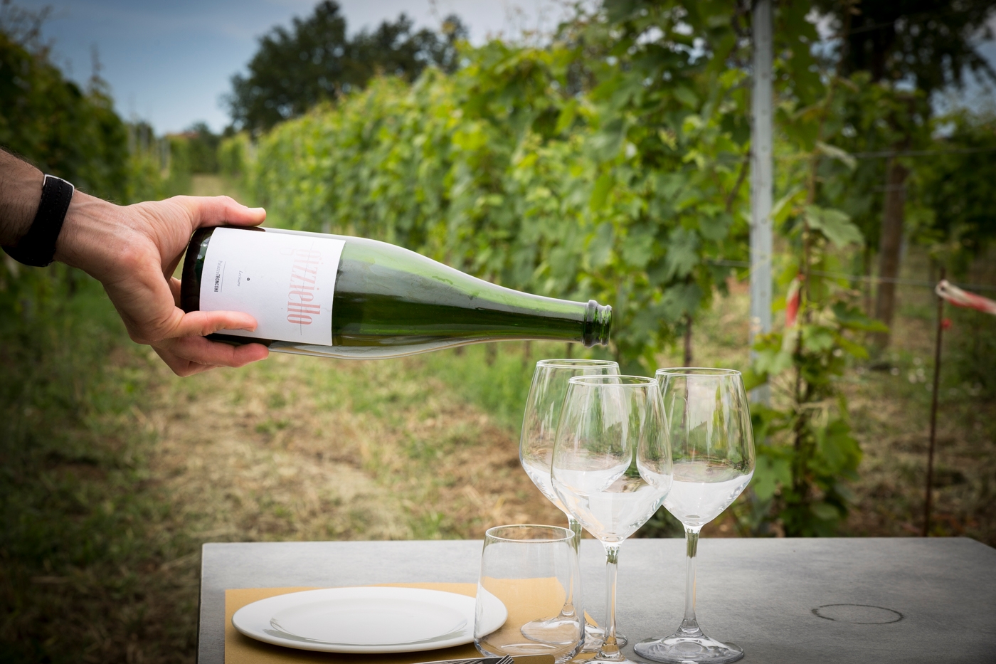 Palazzo Tronconi Osteria & Cantina - winery and restaurant