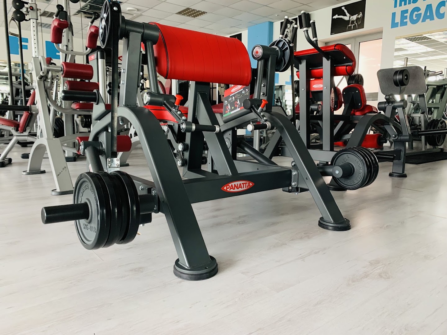 Palestra A.s.d Freelife Rosà
