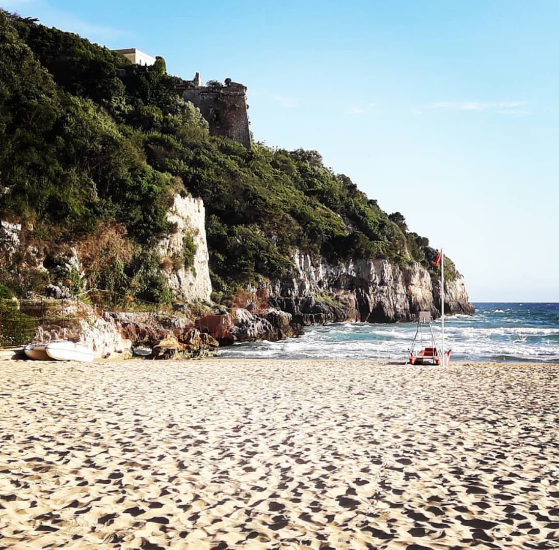 Palm Beach