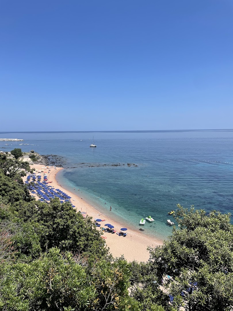 PALMA BEACH GONONE