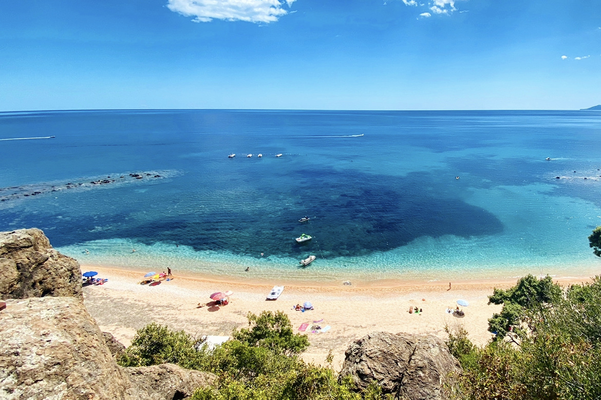 PALMA BEACH GONONE