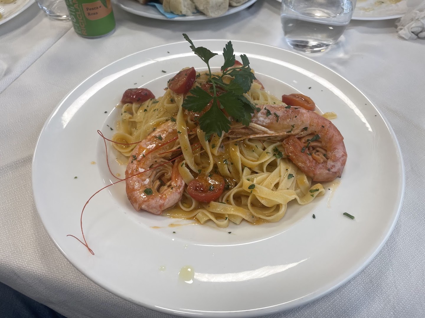 PALMA D’ORO