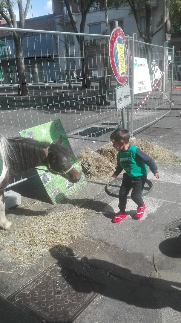 Pam Torino Svizzera