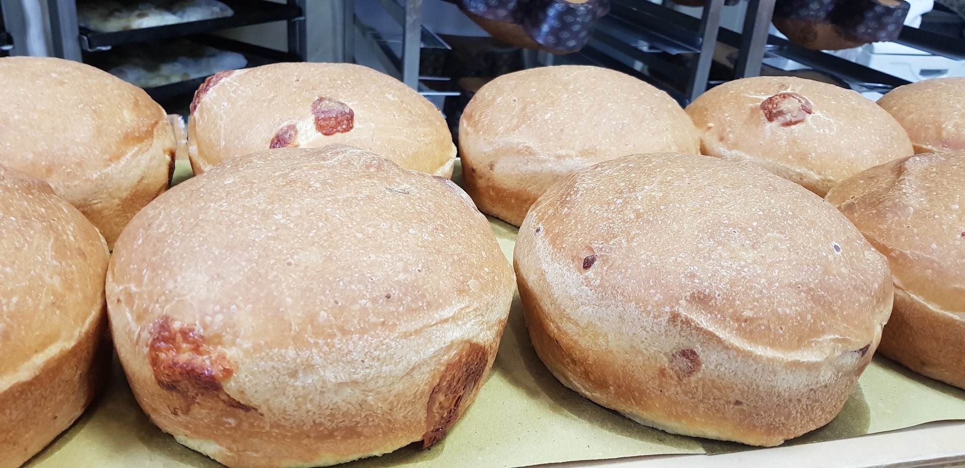 Pan Per Focaccia Teramo